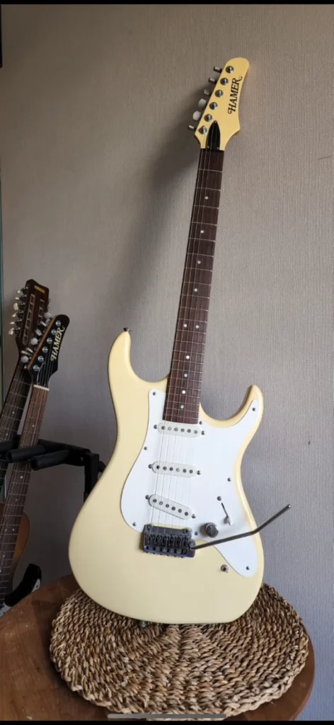 Hamer 1992